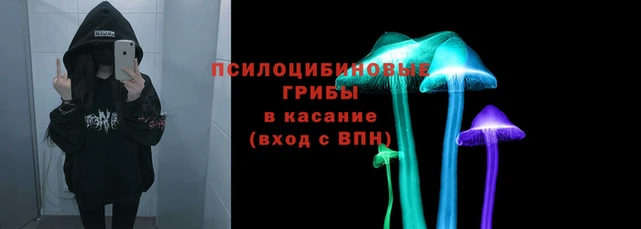 мяу мяу мука Волоколамск